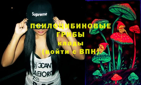 не бодяженный Сатка