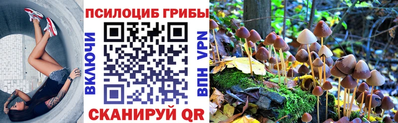 продажа наркотиков  Остров  это какой сайт  Галлюциногенные грибы Cubensis 